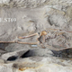 A skeleton from a child who died between age 5 and 9, left unceremoniously in a quarry pit and covered in debris. (Image: The Gebel el-Silsila Project 2017)